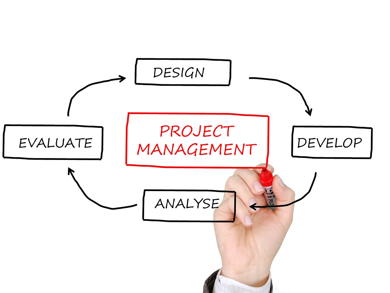 Program/Project Management